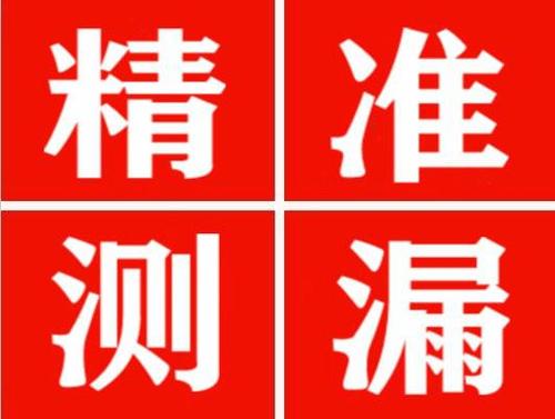 长子尚嘉漏水精准查找
